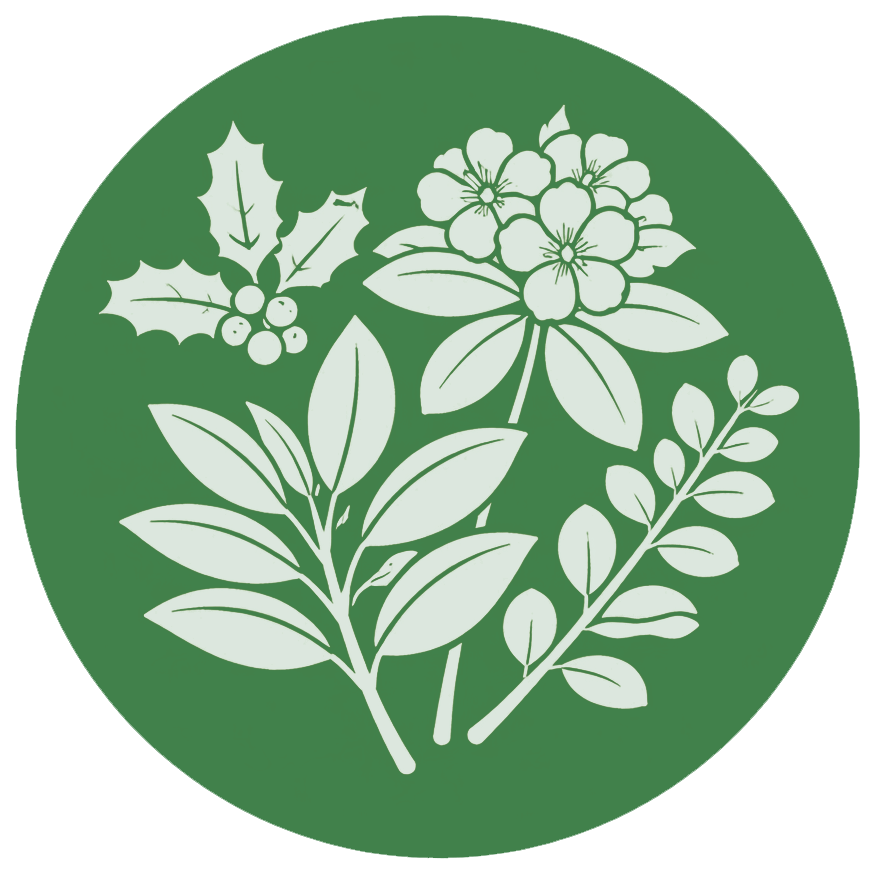 Broadleaf Evergreens