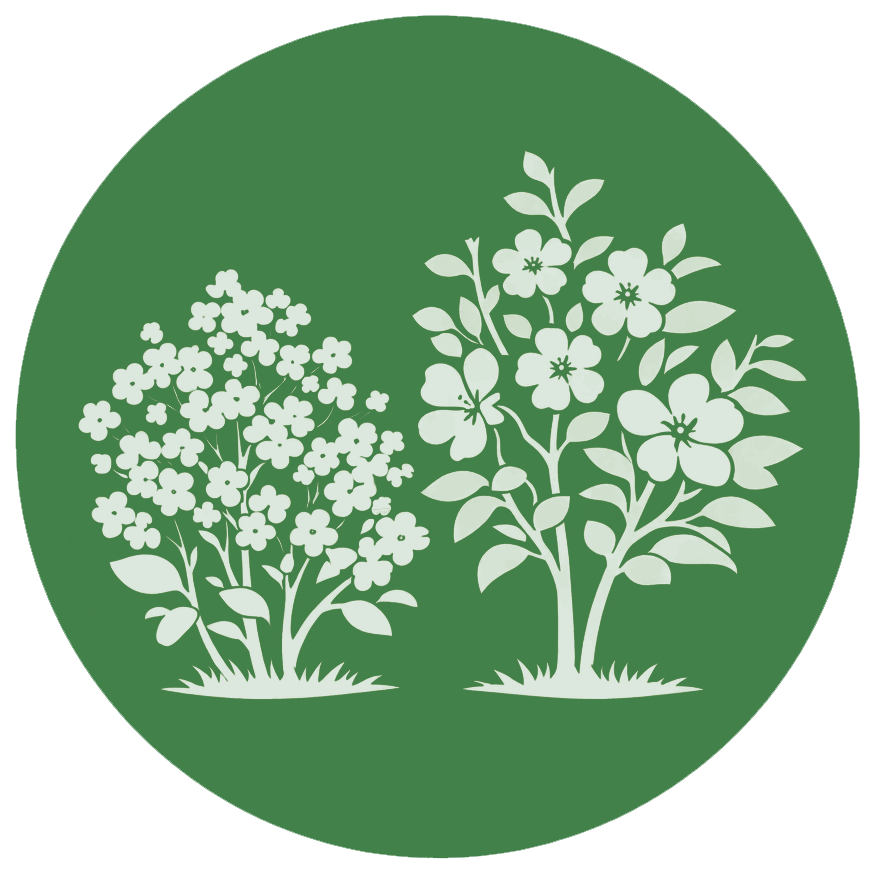 Deciduous Flowering Shrubs