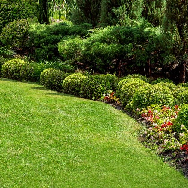 residential backyard landscaping